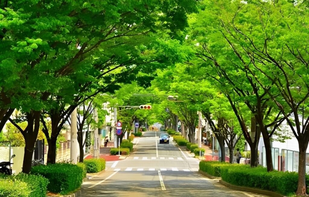 芦屋市で家族葬